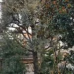In Centro Appartamento