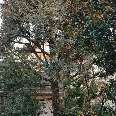 In Centro Appartement