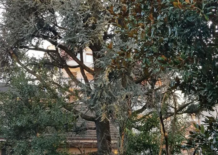 In Centro Appartamento